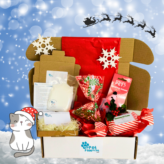 Christmas cat gift box hamper showing paw print kit, treats and mouse toy