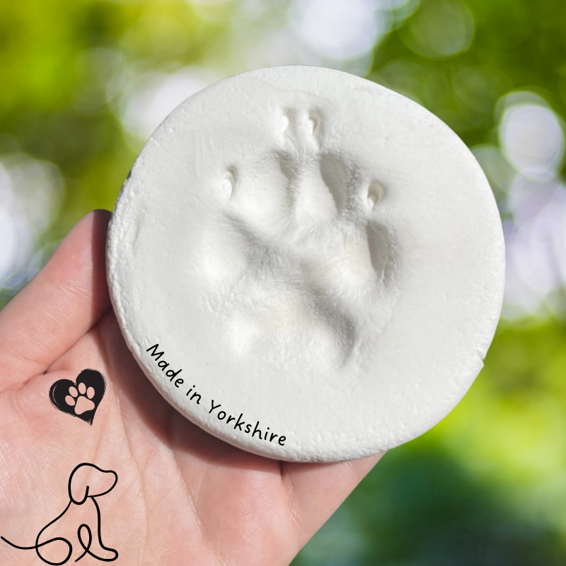 A finished paw print held in a hand