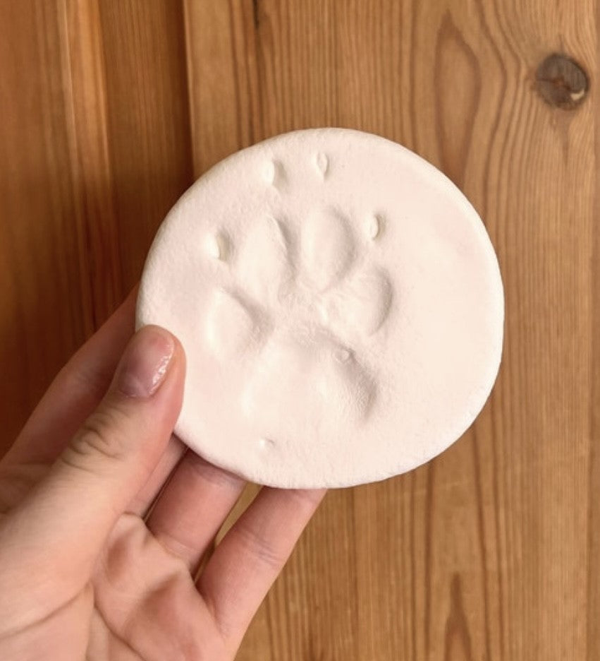 Plain paw print held in a hand against a wood wall background