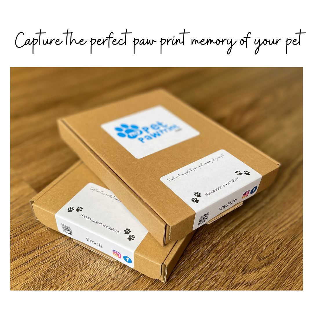 Foam paw top print kit